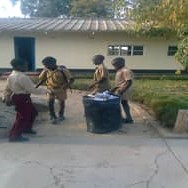 Tree Planting